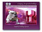 Desire for Touch Kennel English Bulldog