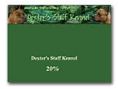 American Staffordshire Terriers Kennel Dexter's Staff