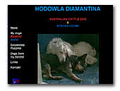 Diamantina