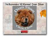 Dian Shan Chow Chows Kennel