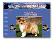 Rough Collies Dignity