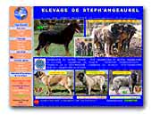 Serra da Estrela Mountain Dog L'Elevage De Steph'Angeaurel