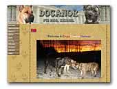 Dogo Canario kennel Docanor