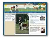 Saint Bernard Dog Pärliste