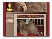 Dolma Mani Kennel