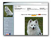 Don Giant German Spitz