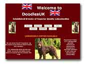 DoodlesUK Breeder
