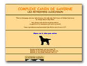 Labrador Retrievers Duckinson
