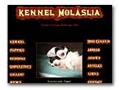 Pyrenean Mastiffs Kennel Molåslia