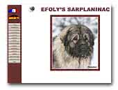 Kennel Efoly's