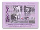 Eilatan Staffordshire Bull Terrier kennel