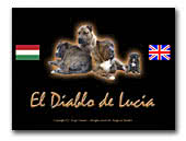Dogo Canario El Diablo de Lucia