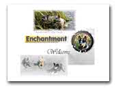 Enchantment Kennel