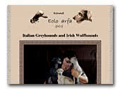 Eolo Arfa Kennel Italian Greyhound