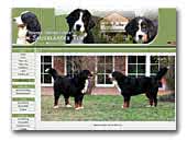 Bernese Mountain Dogs vom Sauerlander Tor