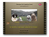 Bergamasco Shepherd Dogs and Pyrenean Mastiffs Evitagårdens
