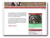 Peruvian Hairless Dogs Kennel Fabled Fairie's