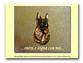 German Shepherd Dogs Fattoria del Pellice