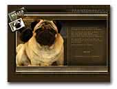 Fawnydawn Pugs