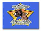 Fearplay Boxer Kennel