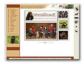Field Spaniels Kennel Winterbourne