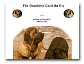 Fila Brasileiro Canil Da Ilha