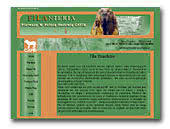 Fila Brasileiro Filanteria