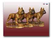 Fine French Bulldog Breeders