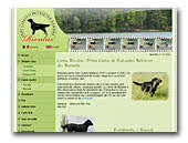 Rivulus Kennel Flat Coated Retrievers
