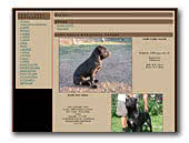 Fortenero Cane Corso Kennel