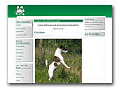 A'Buck d'Hondrecoutre Fox Terriers Smooth