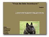 Französische Bulldoggen From the little Sweethearts