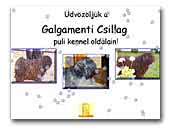 Kennel Galgamenti Csillag