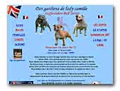 Staffordshire Bull Terriers Des gardiens De Lady camille Kennel