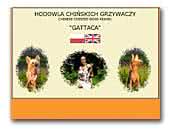 Chinese Crested Dog Kennel Gattaca