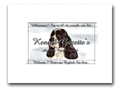 Gazette“s American Cocker Spaniels Kennel
