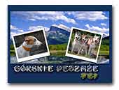 Górskie Pejzaże FCI