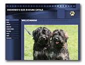 Catalan Sheepdog Dschowo's