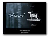Granitehill kennel Weimaraner