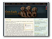 Weimaraner Grey Luck