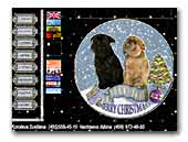 Korolevsky Favorit Brussels Griffons Kennel