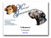 Grunningen Irish Wolfhounds Kennel
