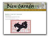 Bien Carados Havanese Kennel