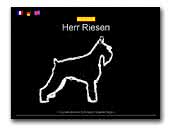 Giant Schnauzer Kennel Herr Riesen