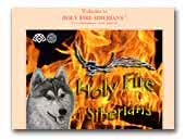 Holy Fire Siberians