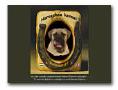 Bullmastiffs Kennel Horseshoe
