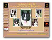 Hunting Beardog Kennel