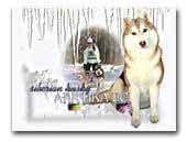 Arktika FCI Kennel
