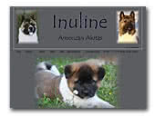 Inuline American Akitas