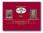 Itaco Star Yorkshire Terrier Kennel